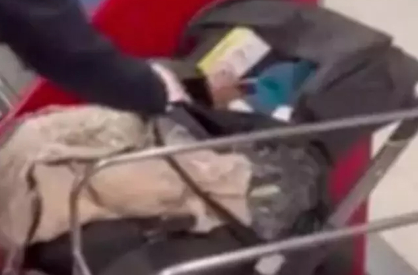 Yok artık! Bileti olmadığı için uçağa alınmayan bebeklerini bırakıp gittiler!