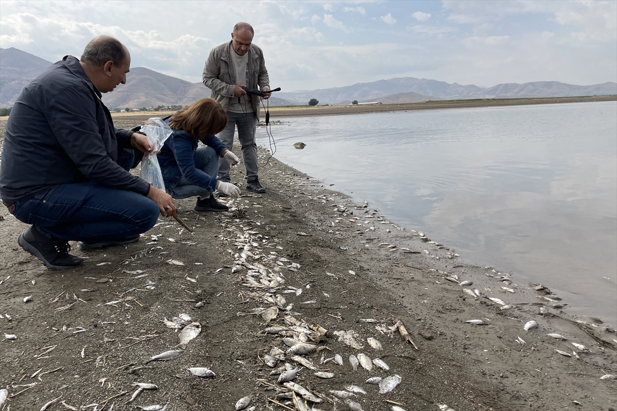 Keban Barajı'nda neler oluyor? Tarım ve Orman Müdürlüğü inceleme başlattı