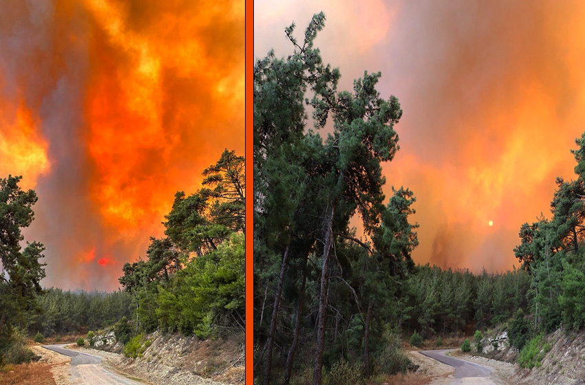 Çanakkale'de orman yangını! Destek bekleniyor...