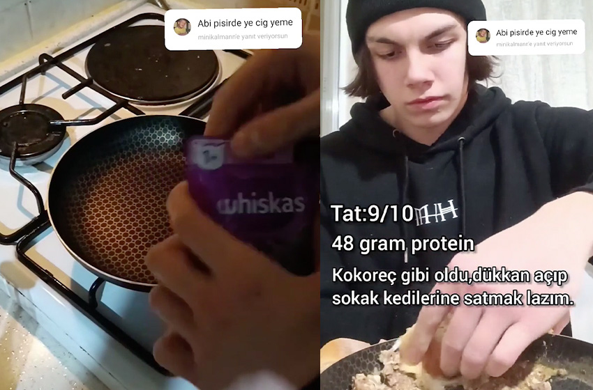 Kedi mamasından omlet yaptı! Tadını puanladı…