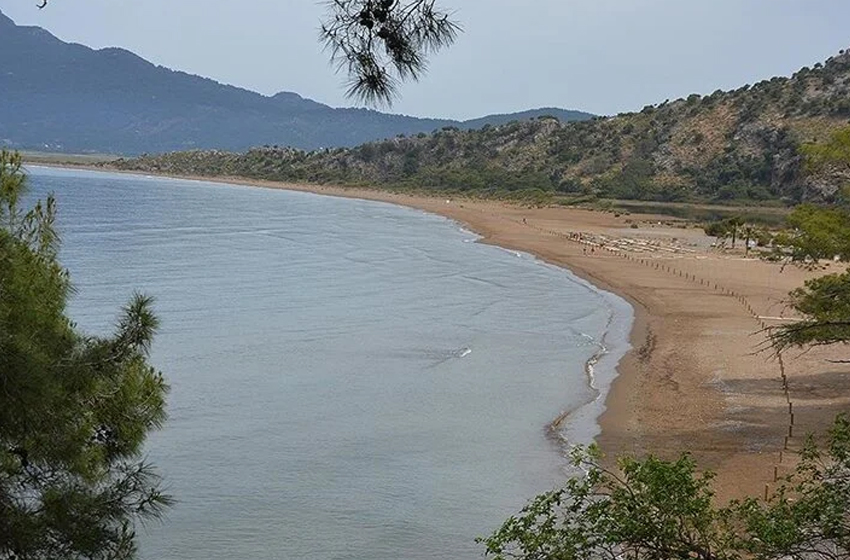 Muğla'daki İztuzu sahiline caretta carettalar yumurta bırakmaya başladı