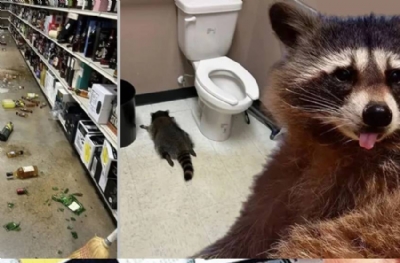 Tavandan düştü, içkileri içti, tuvalette sızdı: