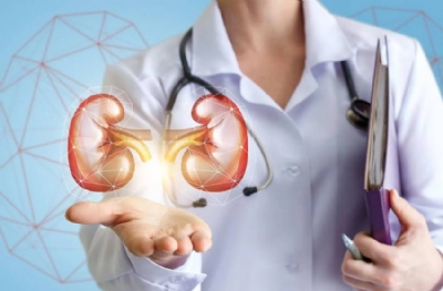 Böbrek sağlığını korumak için 8 altın kural