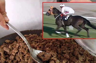 Şampiyon at kavurma olmuştu... Şok iddia ortalığı karıştırdı: Meğer başka atlar da varmış!