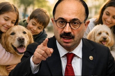 AK Parti’li vekilden köpek sahipleri ve hayvanseverlere küfür gibi sözler