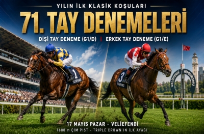 Gazi’ye Giden Yolun İlk Virajı: 71. Dişi ve Erkek Tay Denemeleri Pazar Günü Veliefendi'de