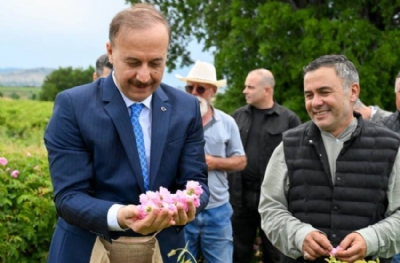 Güller Diyarında Vizyon Dönemi