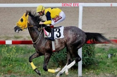 Jokeyler isyan bayrağını açtı!