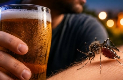 Bilim açıkladı: Sivrisineklerin crush'ı bira içenler